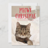 ミョイクリスマスかわいい子ネコ |休日の写真 シーズンカード (正面)
