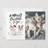 ミョイクリスマスかわいい猫の写真 シーズンカード (正面)