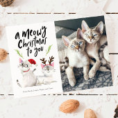 ミョイクリスマスかわいい猫の写真 シーズンカード