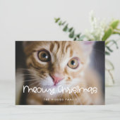ミョイクリスマスかわいい猫の写真 シーズンカード (スタンド正面)