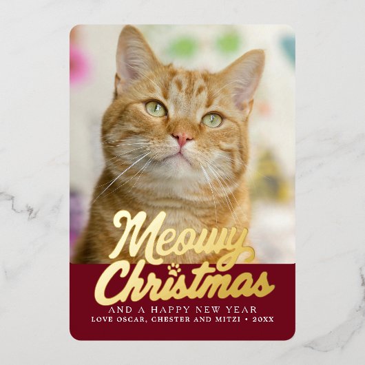 ミョイクリスマスかわいい猫フォトクリスマス 箔シーズンカード (正面)