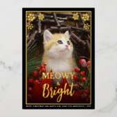 ミョイ&ブライトキュート猫フォトスノーフレークPet 箔シーズンカード (正面)
