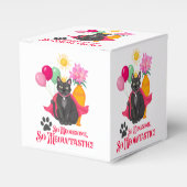 ミョーソームだからミョータスティック！ フェイバーボックス (正面サイド)