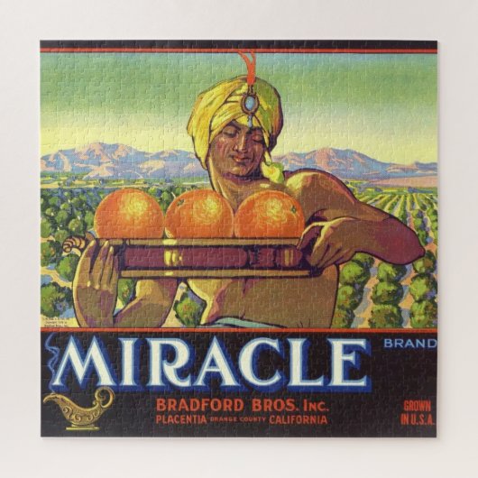 ミラクルジェニー図解入りの、写真付きの20x20 ジグソーパズル (縦)