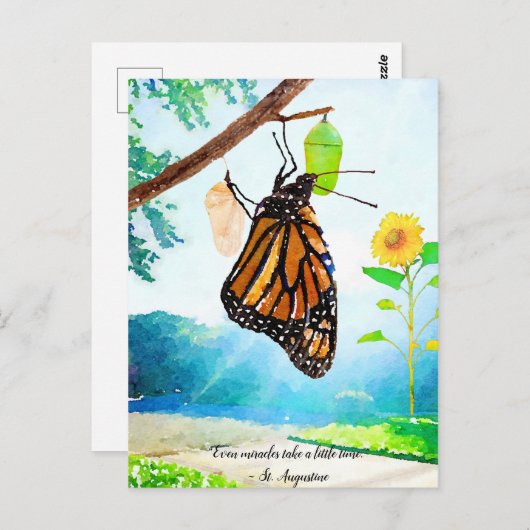 ミラクルス(昆虫)オオカバマダラ、モナークバタフライ ポストカード (正面/裏面)