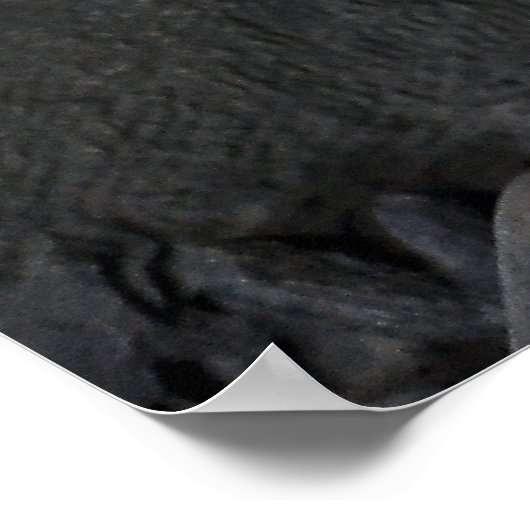 ミラノ墓地 ポスター (角)