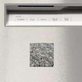 ミラベルブロッサム冷蔵庫用マグネット マグネット (インサイチュ (食洗機))