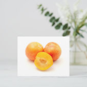 ミラベルプラム ポストカード (スタンド正面)