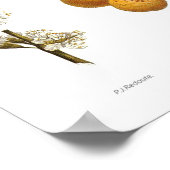 ミラベルプラム(Prunus x domestica var. syriaca) ポスター (角)