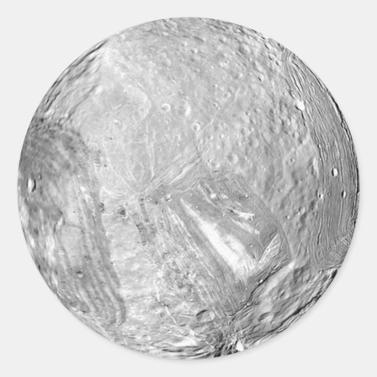 ミランダ ラウンドシール (正面)