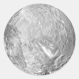 ミランダ ラウンドシール