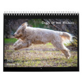 ミラーゴ暦の犬 カレンダー (カバー)