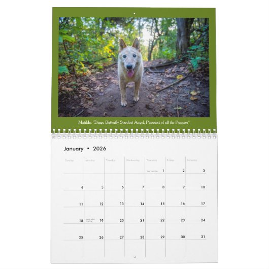 ミラーゴ暦の犬 カレンダー (1月 2026)