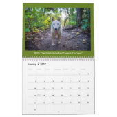 ミラーゴ暦の犬 カレンダー (1月 2027)