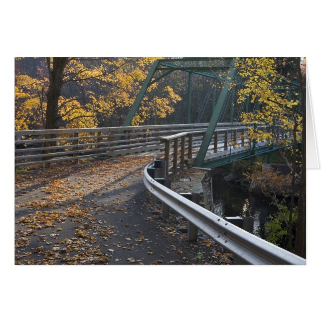 ミラーズ川にかかる橋と紅葉 (正面横)