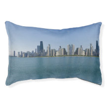 ミラーパターンを持つシカゴのスカイライン