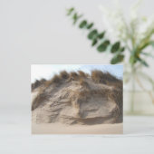 ミラービーチインゲイリー、インディアナ ポストカード (スタンド正面)