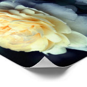 ミラー化された黄色いバラ(開花抽象芸術) ポスター (角)