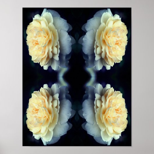 ミラー化された黄色いバラ(開花抽象芸術) ポスター (正面)