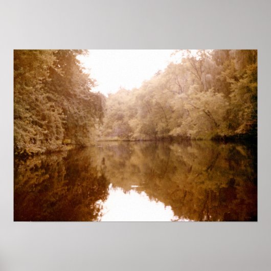 ミラー化レイクビュー ポスター (正面)