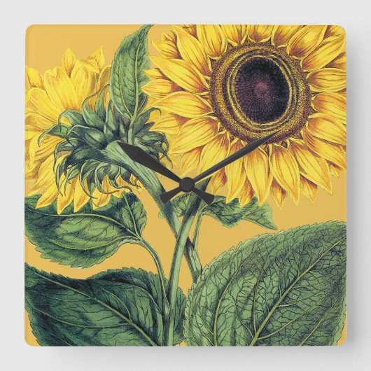 ミラー: ヒマワリ スクエア壁時計 (正面)