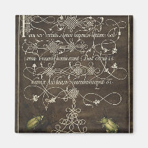 ミラ・カリラヒエ産のカブトムシとスカラブ