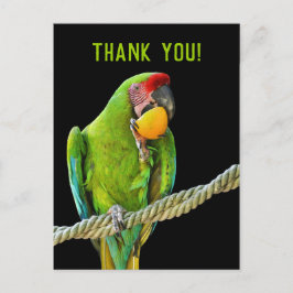 ミリタリーコンゴウインコ ポストカード
