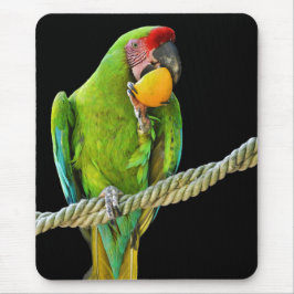 ミリタリーコンゴウインコ マウスパッド