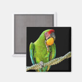 ミリタリーコンゴウインコ マグネット (正面/裏面)