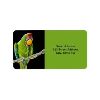 ミリタリーコンゴウインコ ラベル
