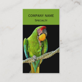 ミリタリーコンゴウインコ 名刺