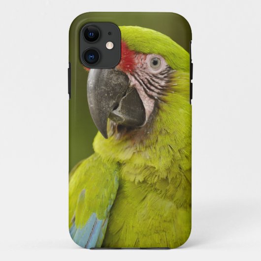 ミリタリーコンゴウインコ Case-Mate iPhoneケース (裏面)