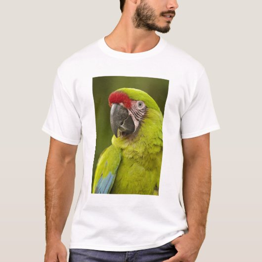 ミリタリーコンゴウインコ Tシャツ (正面)