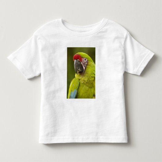 ミリタリーマカオ トドラーTシャツ (正面)