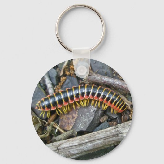 ミリピードシリーズの項目 キーホルダー (正面)