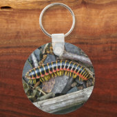 ミリピードシリーズの項目 キーホルダー (正面)