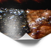 ミリピードスパイラル フォトプリント            (角)