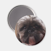 ミリマグネット マグネット (正面/裏面)