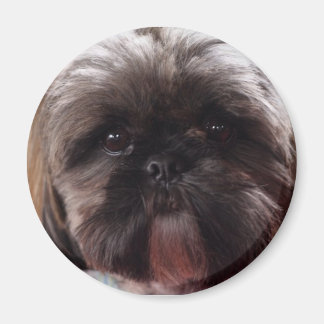 ミリマグネット マグネット