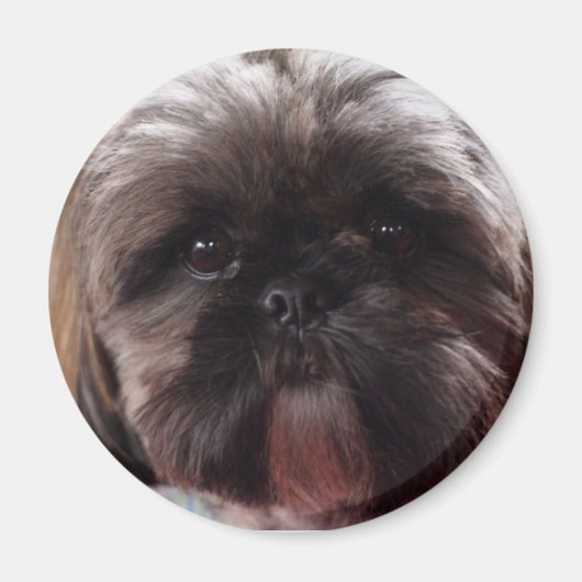 ミリマグネット マグネット (正面)