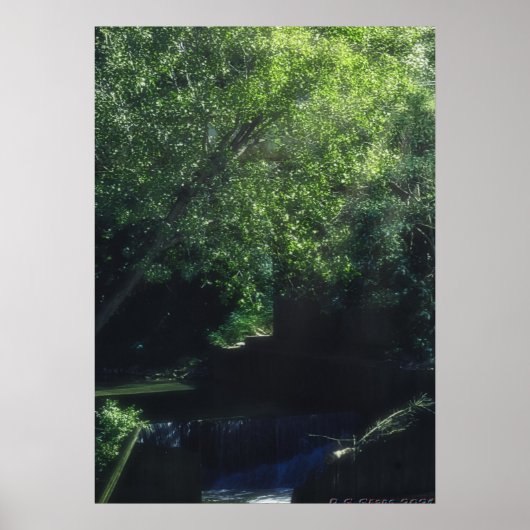 ミリントンファンタジー ポスター (正面)