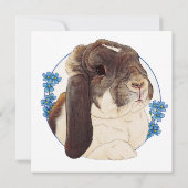 ミリーモーバニー カード (裏面)