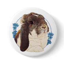 ミリーモーバニー