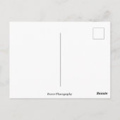 ミルウォーキーのキルボーン通りからのリバーフロント ポストカード (裏面)