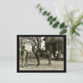 ミルウォーキーミュールアンド農家ヴィンテージ ポストカード (スタンド正面)