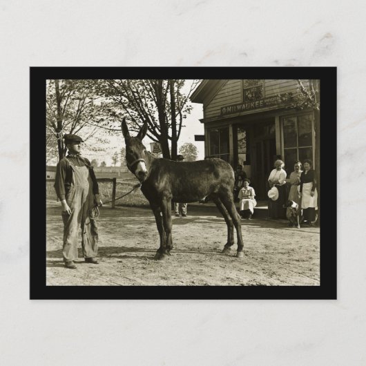 ミルウォーキーミュールアンド農家ヴィンテージ ポストカード (正面)