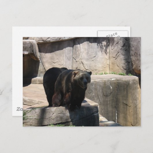 ミルウォーキー動物園 ポストカード (正面/裏面)