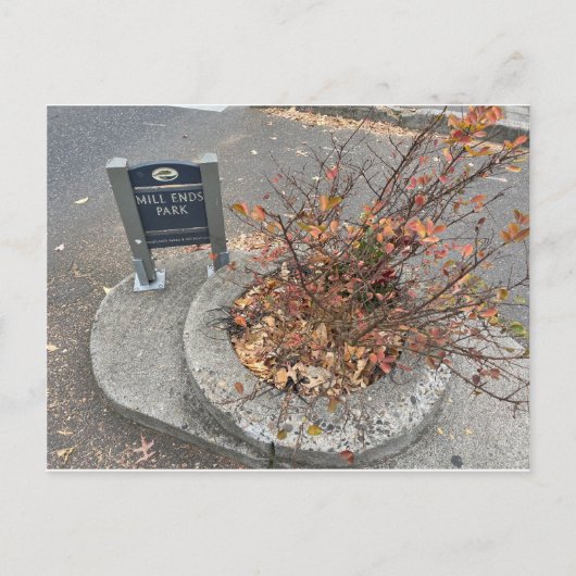 ミルエンドズパーク ポストカード (正面)