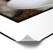 ミルクって？ポスター ポスター (角)