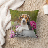 ミルクの中で可愛い三色のビーグル犬の子犬 – クッション (ブランケット)